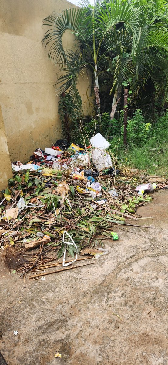 SagarikaRay13's tweet photo. Even after more than 7 days the garbage is still lying in front of the house @bmcbbsr . No one to pick it up. This is how the system is working in @bmcbbsr https://t.co/UJUGUsfgfi