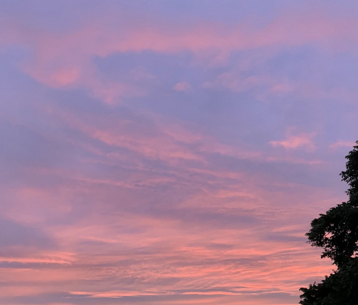JohnRentoul's tweet photo. A new dawn has broken https://t.co/J5gNObt7YI
