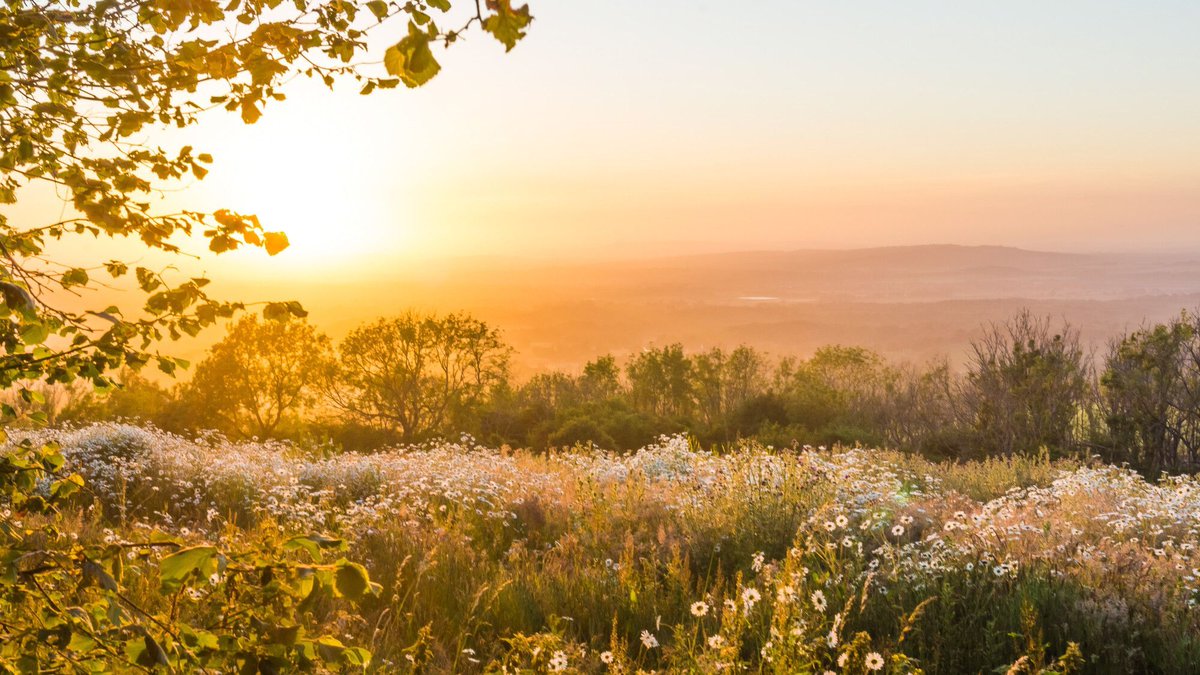 sdnpa's tweet photo. A little over two weeks before our #ReNature Festival gets under way.

Until then, bask in this glorious downland scene. 

📷 Katarzyna Kedziora 
📍 Kithurst Hill

#SouthDowns #FridayFeeling https://t.co/eNU0mju7jM