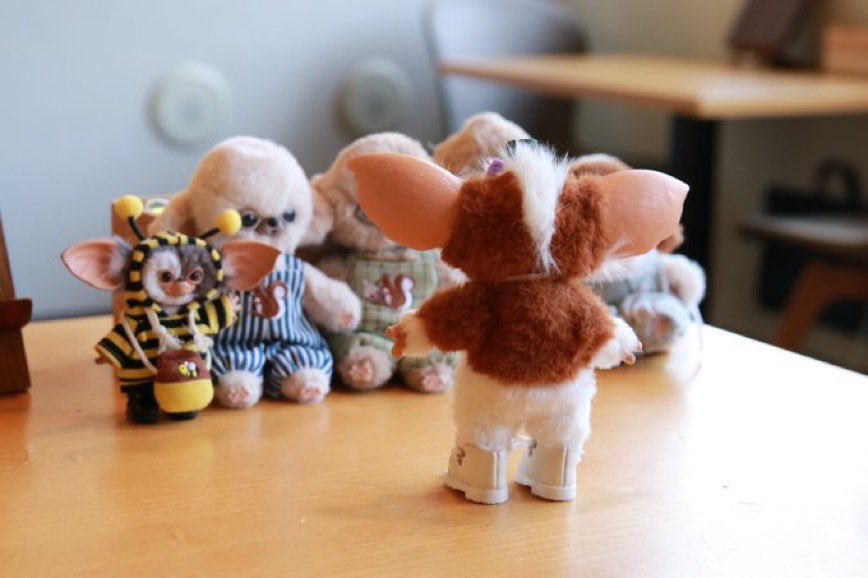 チワボボちゃん