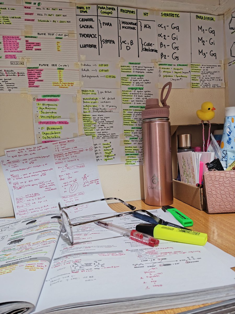 mikayluh23's tweet photo. @metamorph_rs 'singgulo ng utak ko during revieww pero na-ace pa rin yung boards!  cutieee ducky from ma'am czar 🥹💗 https://t.co/RGpMnrY7cX