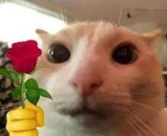 enralis ⊹₊⟡⋆ tweet media