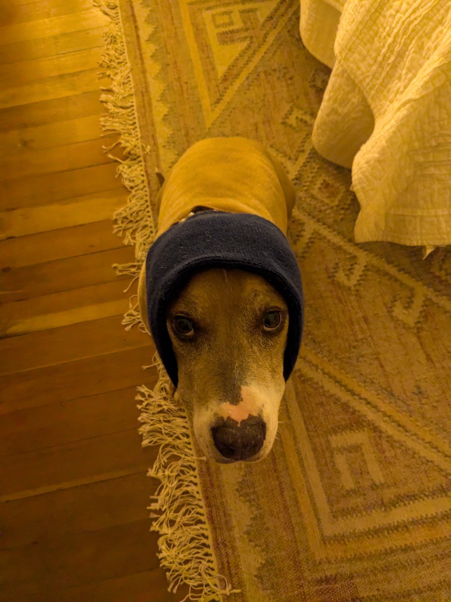 Rob Dodson 🦋 tweet media