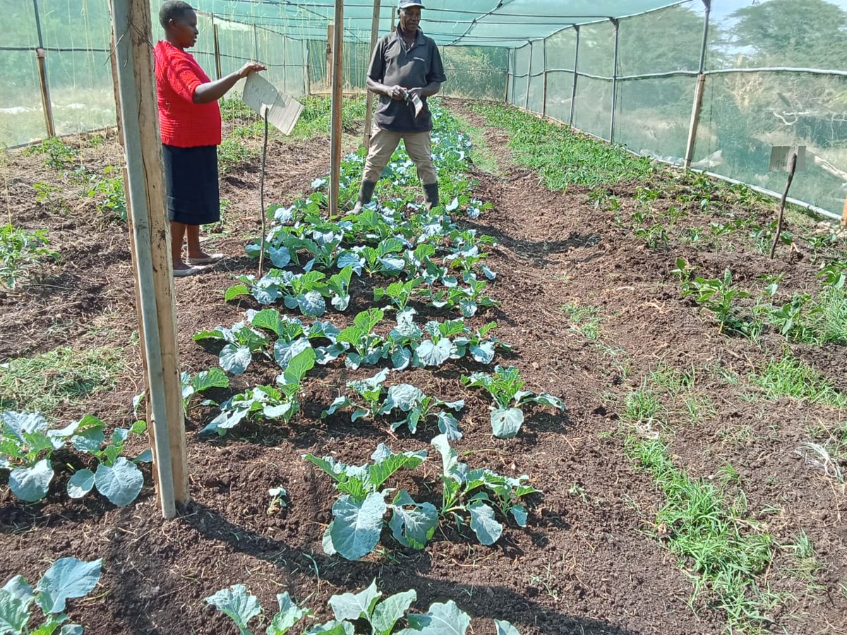 MIDPKENYA tweet media