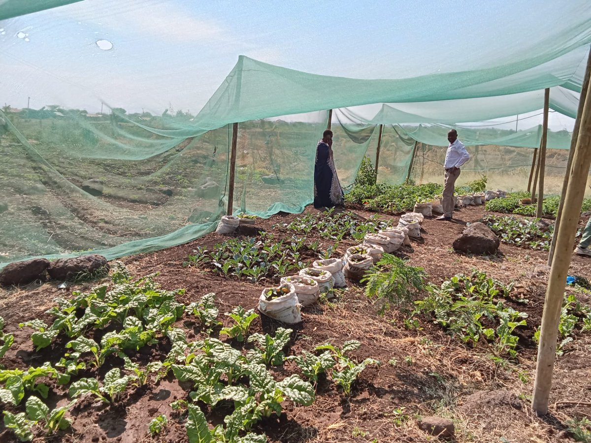 MIDPKENYA tweet media