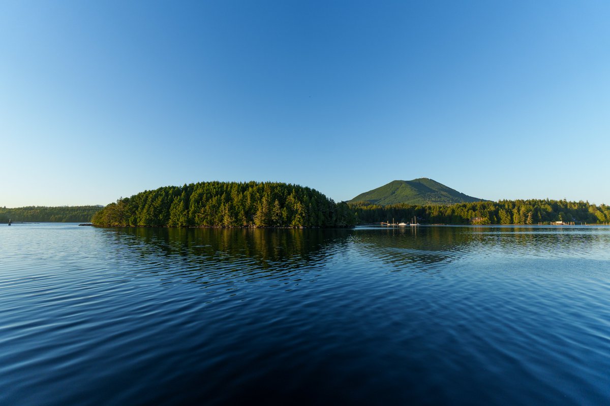 Geoff Johnson tweet media