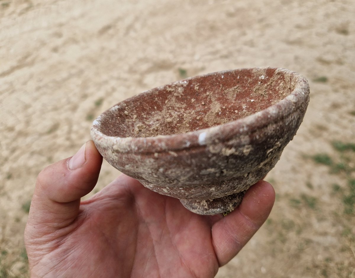 A locally produced late Iron Age Durotrigian wine cup, apparently based on the classic design of the #Roman Dragendorff 27

Photographed as freshly excavated from the ground in June 2024 at #Durotriges24 for #FindsFriday

Cheers 🥂 😊