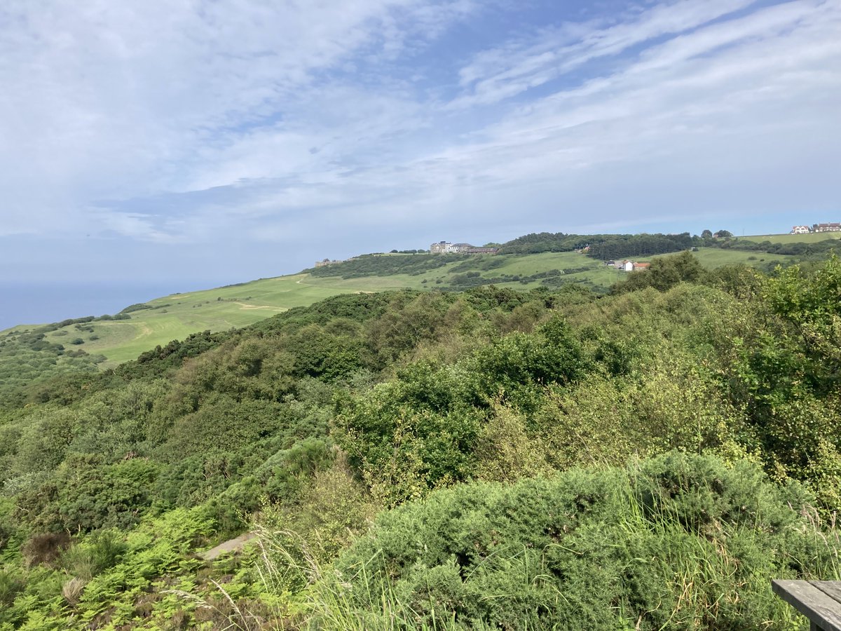 FYoungWriter's tweet photo. #FridayFeeling #Ravenscar π A recent walk along the Cinder Track in the sunshine @nationaltrust π Have a good day, everyone π https://t.co/0XnoYcLz0d