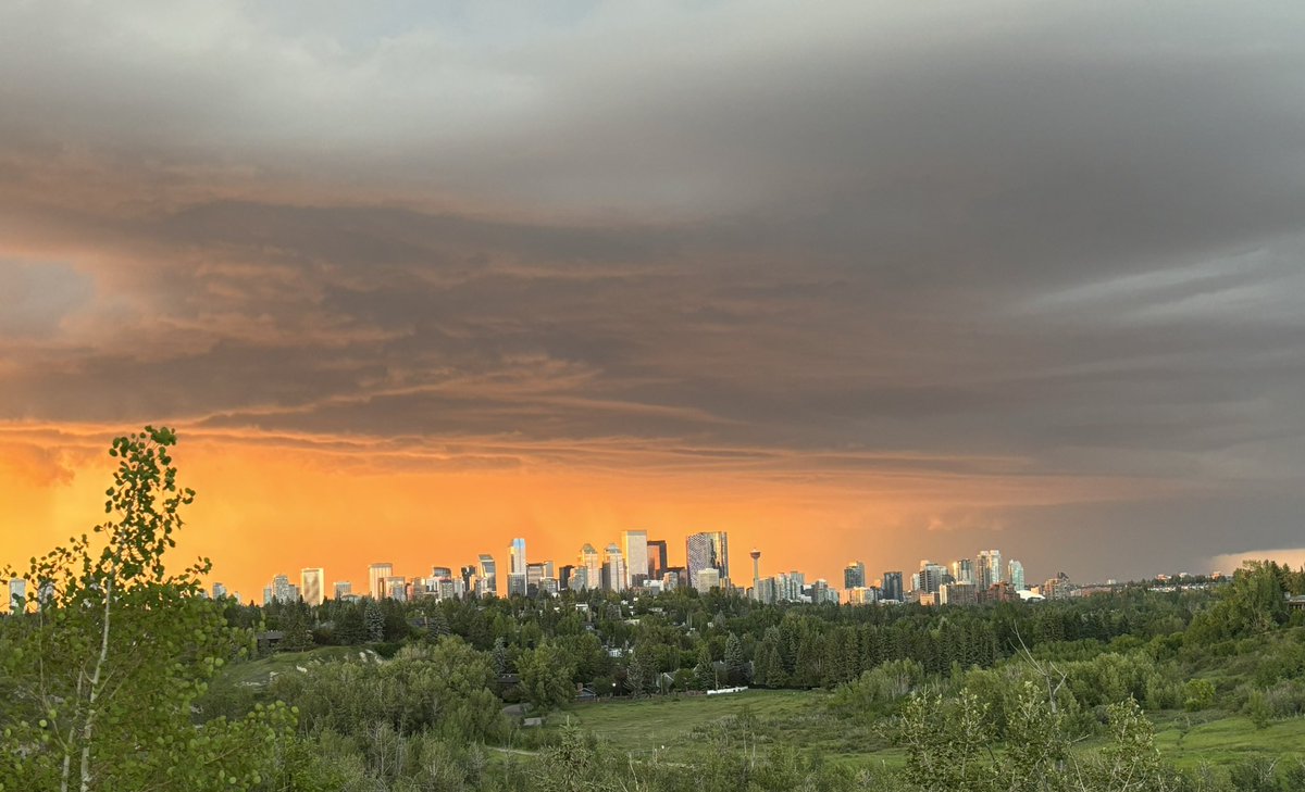 Sidsel Pedersen tweet media