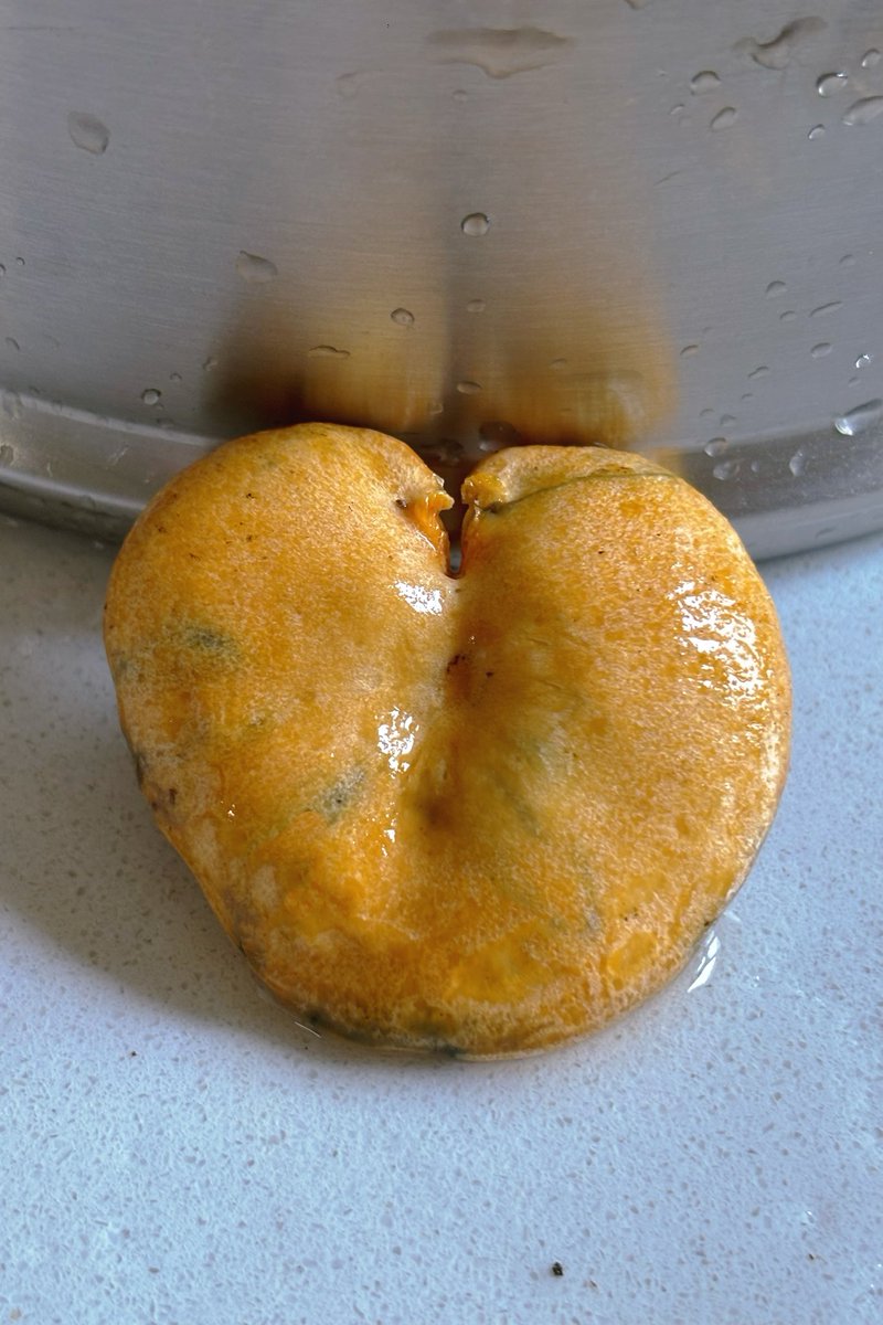 星星菌🦖| MemeMax⚡️ tweet media