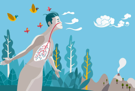 anlu_lu's tweet photo. La #Respiración es la conexión con tu #Cuerpo y la base de nuestra salud. Sus #Beneficios reduce el #Estrés y la #Ansiedad, mejora la concentración y la memoria, fortalece el #SistemaInmunológico.🍃🏋️‍♂️🧘‍♀️
@joesystemas https://t.co/ez2by9LPtX
