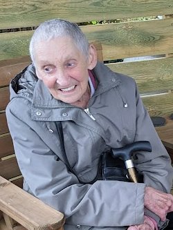 Robert Allotment cat,now helped by Janet & Amanda tweet media