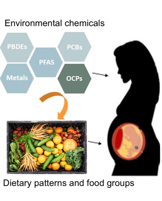 Global Centre for Asian Women's Health (GloW) tweet media