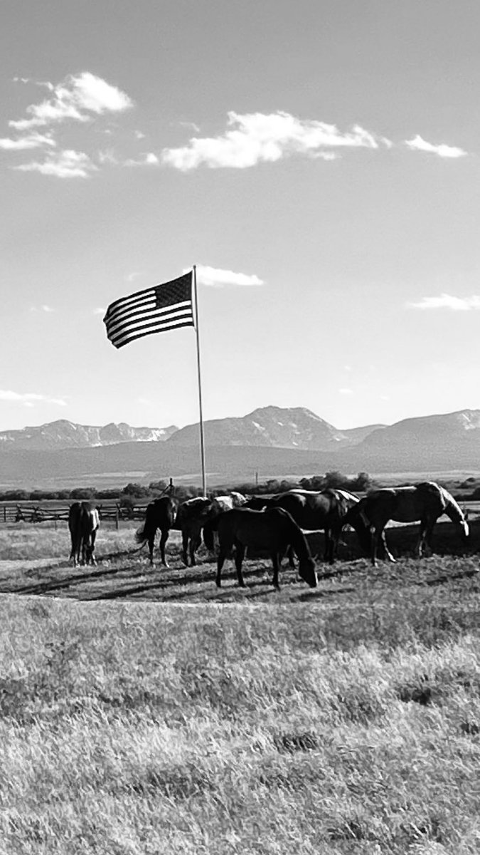 Happy Independence Day. 🇺🇸