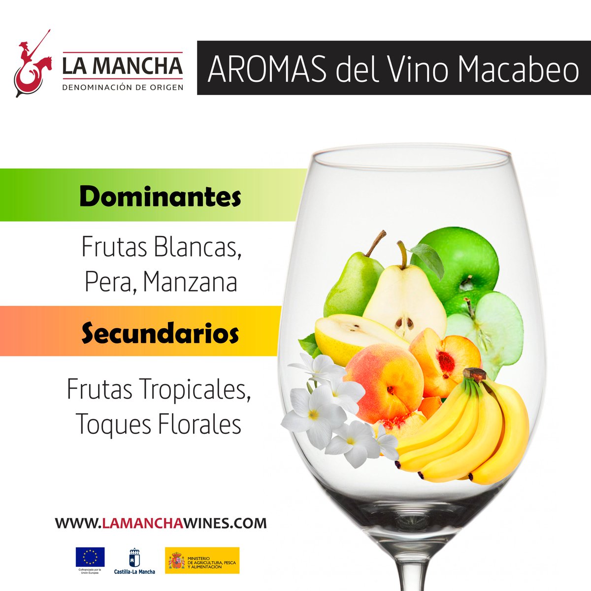 vinodelamancha's tweet image. ¿Quieres conocer un poco más sobre los #aromasysabores que da la uva blanca #Macabeo a los vinos en #LaMancha?
.
¡Te lo contamos todo en esta #infografía !
.
#vinodelamancha #DOLaMancha #Viura #uvasblancas #vinosblancos #winelover #vinosdecalidad