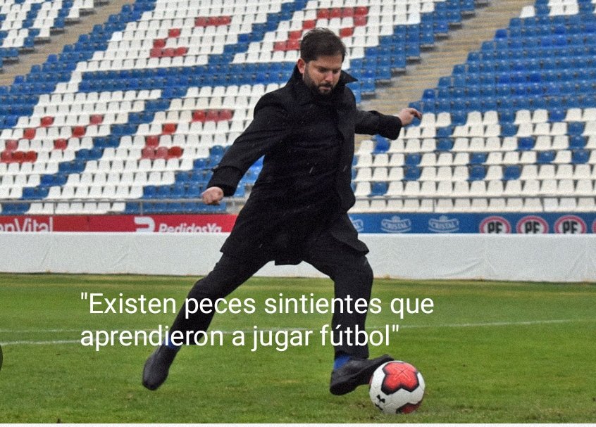 an_chile's tweet photo. @Meruanista 🤪🤣🤣🤣🤣🤣 https://t.co/scXRrKmBFi