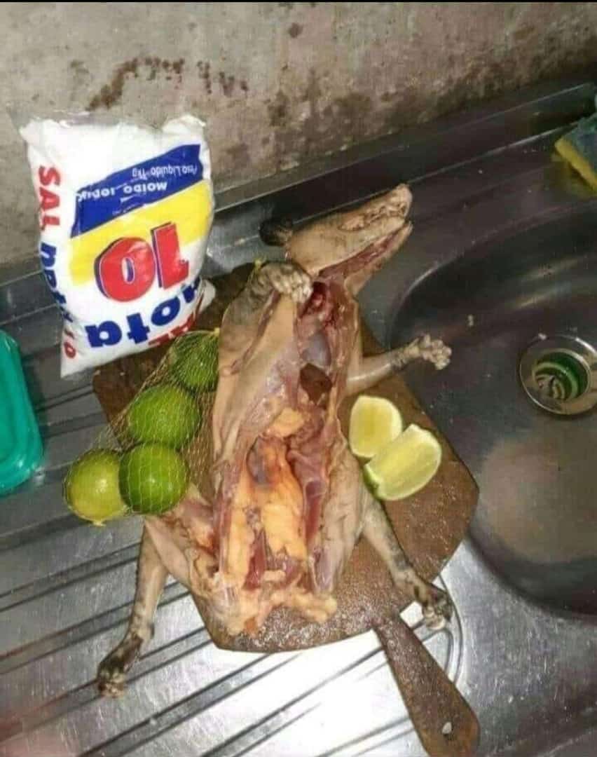Breakfast 🥹😂
