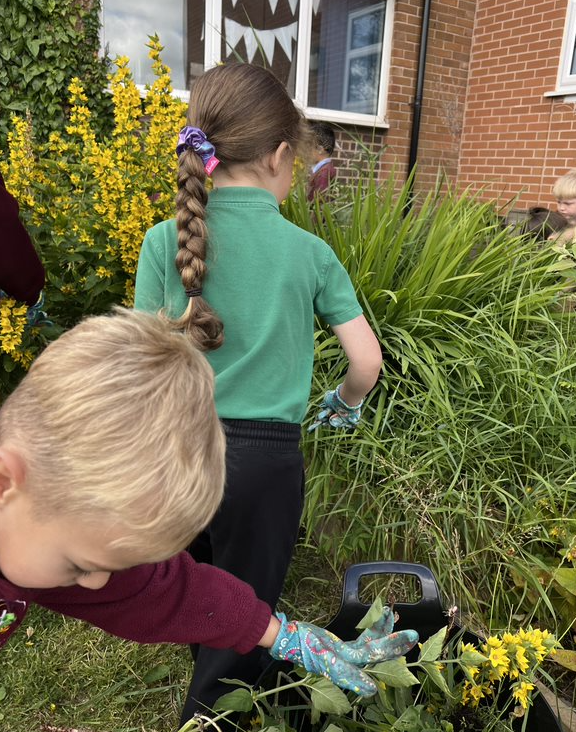 StStephens_Bury's tweet photo. ๐ฑ Exciting day for Year 2 Gardening Club! We planted new greenery in our library garden and began weeding & planting in the main playground planters. Our goal: creating a peaceful, reflective space for everyone to enjoy. ๐ผ #SchoolGarden #GreenThumbs #ReflectiveSpace https://t.co/AM3l31JGHH