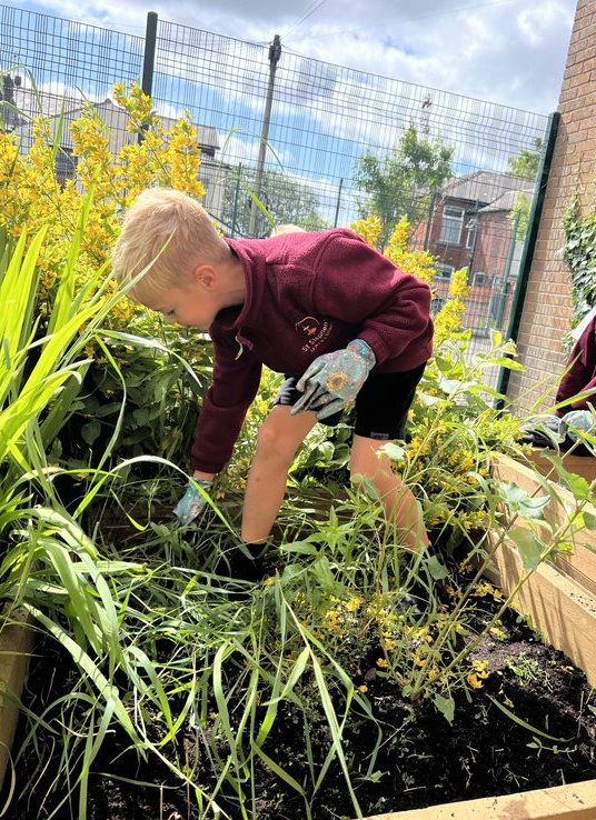 StStephens_Bury's tweet photo. ๐ฑ Exciting day for Year 2 Gardening Club! We planted new greenery in our library garden and began weeding & planting in the main playground planters. Our goal: creating a peaceful, reflective space for everyone to enjoy. ๐ผ #SchoolGarden #GreenThumbs #ReflectiveSpace https://t.co/AM3l31JGHH