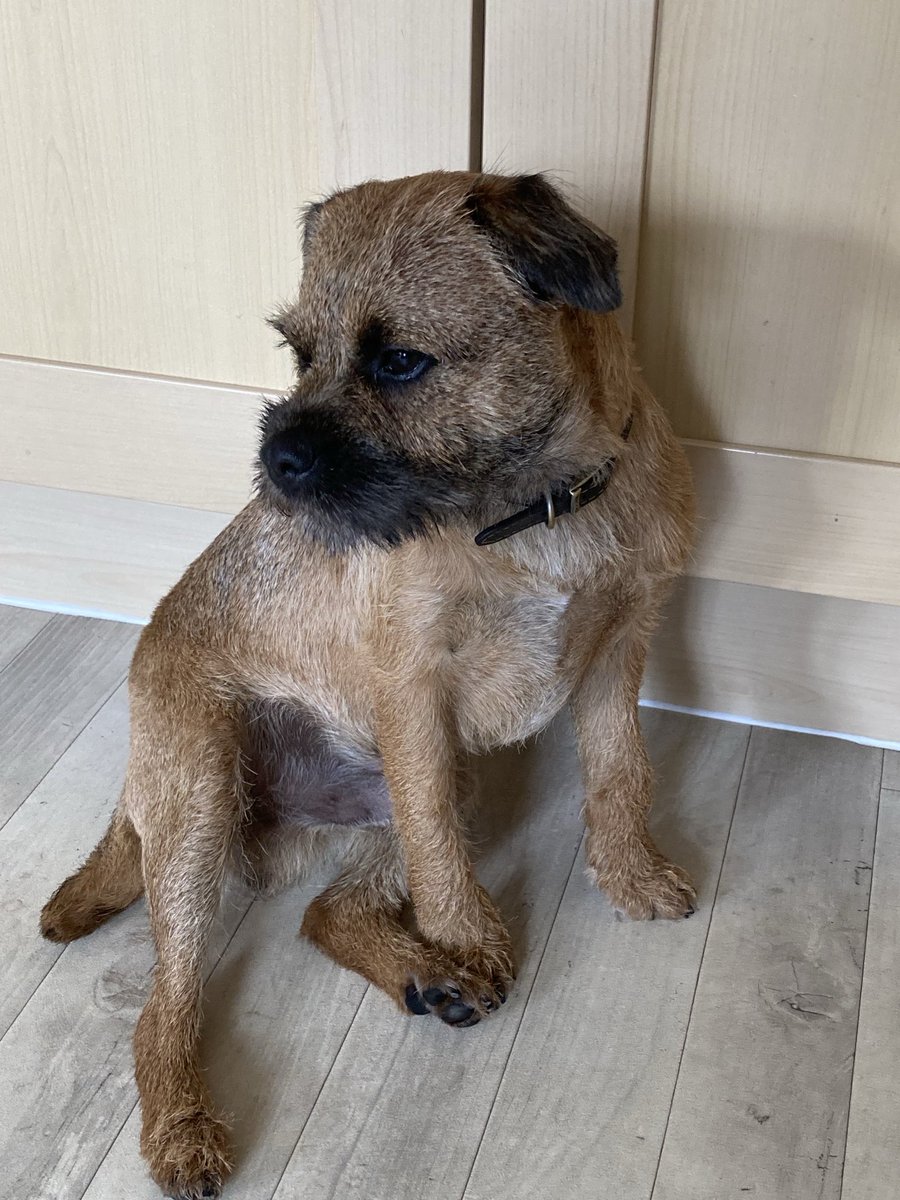 Been to stylist! #DNF #BTPosse