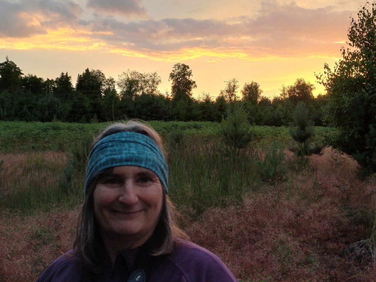 A successful evening catching 2 adult Nightjars and ringing 2 chick's in Thetford Forest. A beautiful sunset 🌅