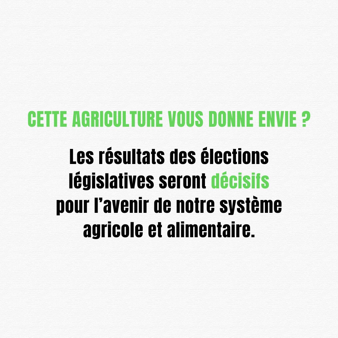 📣 Pour l'avenir de notre agriculture et de notre alimentation, et si on vous proposait plutôt ça ?

Pour que ce système agricole et alimentaire puisse voir le jour, les élections législatives seront décisives. 👊
