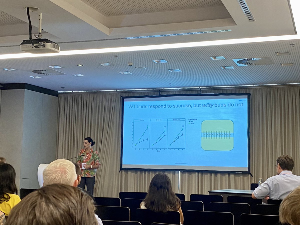 JXBot's tweet photo. JXB Editorial Intern &amp; social media contributor @HannahDrieberg presenting her research on axilliary bud growth in garden pea at the #SEBConference #PlantScience https://t.co/x8daAaG8El