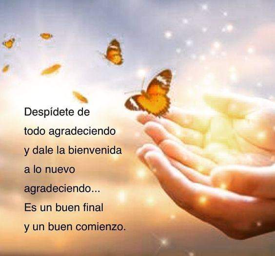 ˙˚ʚ(´◡`)ɞ˚˙❀(*´▽`*)❀