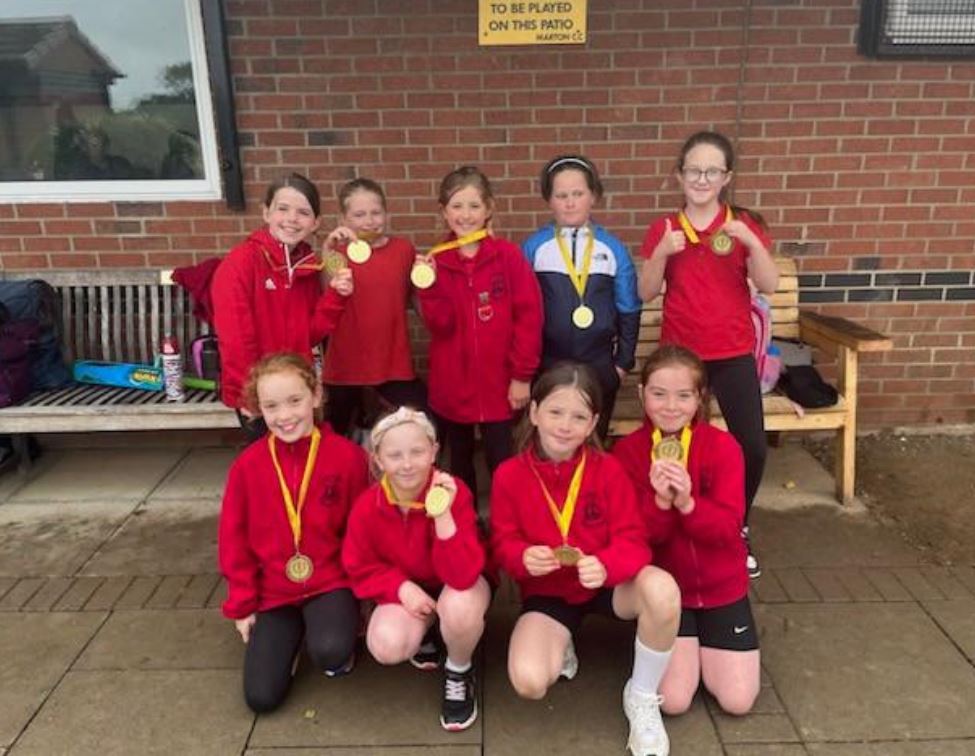 Captain Cook Primary tweet media