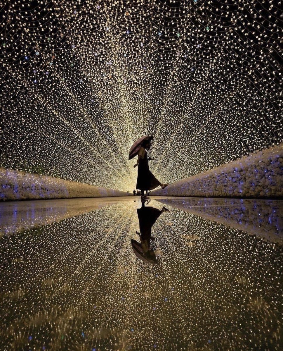 Kimse senin nelerle başa çıkmaya çalıştığını, neleri yendiğini , neleri yenemediğini, kimlerin yanında olmak istediğini, neler hissettiğini, neleri hissetmekten korktuğunu, içini, senden daha iyi bilemez. O yüzden dik yürü hep, kendine, sadece kendin lazımsın.

#sabahattin ali