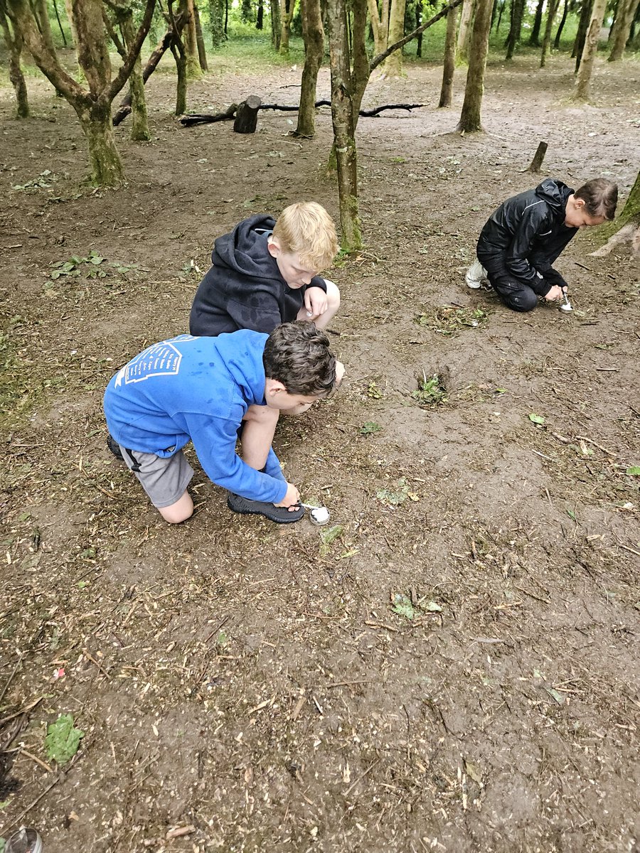 Learning how to start a 🔥