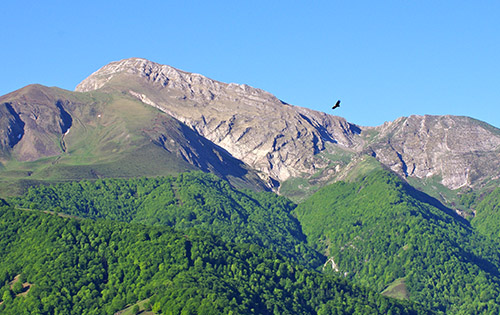 Uda honetarako LPO jarduerak 🐦

Astelehenetan 9etatik 12etara 🕑

Iratin dauden hegazti espezieak ezagutuko ditugu. Prismatikoak erabiliz, behatu egingo ditugu eta haien kantuak entzungo ditugu ordubeteko ibilaldian. Adin guztietarako egokia, 7 urtetik aurrera.

#irati