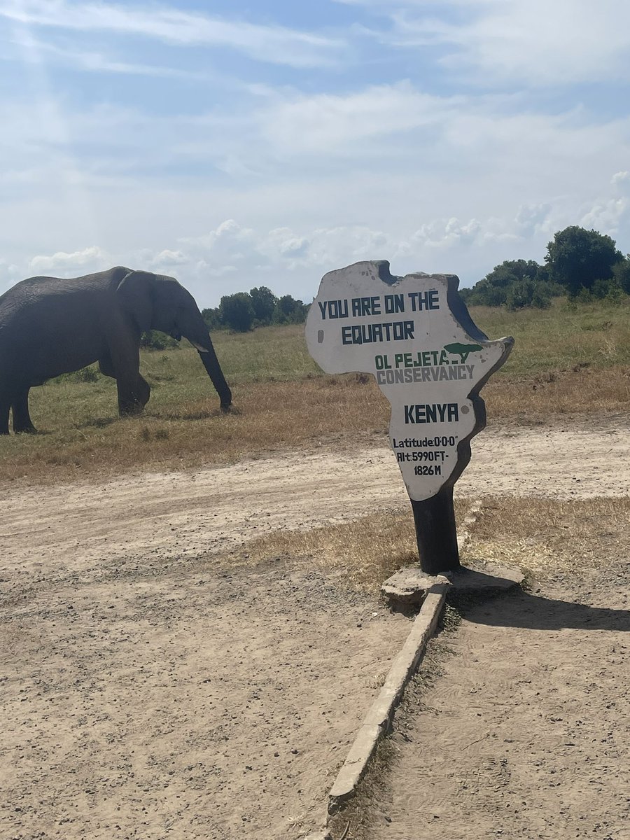 zulcss's tweet image. AFK