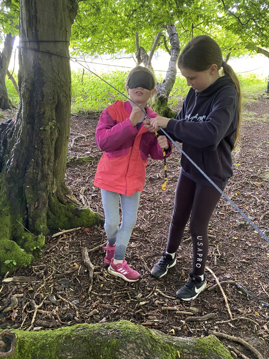Y5StMSch's tweet photo. #hudnallpark @Y5StMSch @StMSchStewkley https://t.co/3bPLRqK2u3