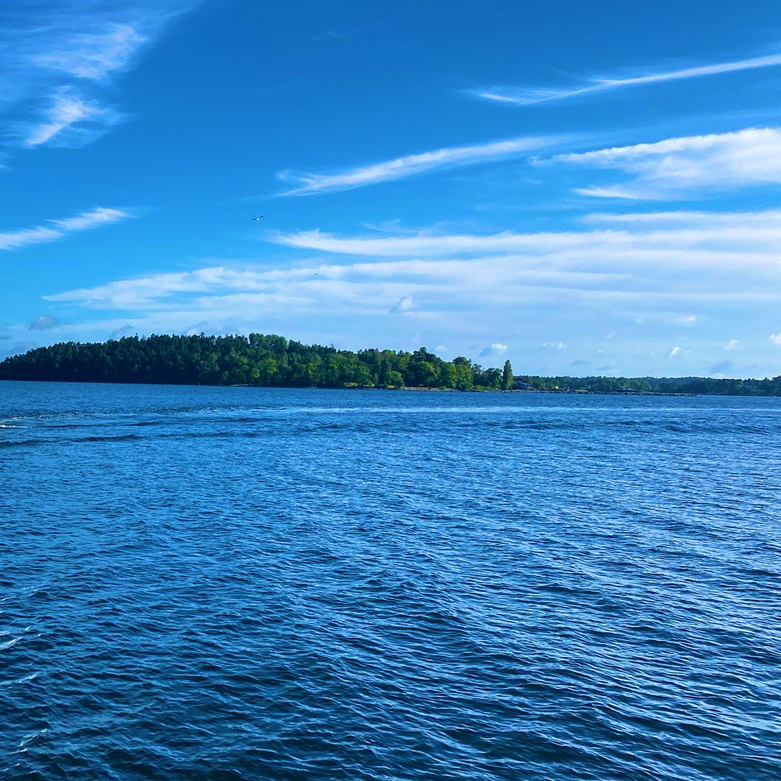 2AimeePhillips's tweet photo. Good morning Beautiful People🥰
Wonderful Friday to you all, have a beautiful day and share those amazing smiles.
What simple things make you happy, today?

 #naturewalk  #StormHour @ThePhotoHour #Nature #Water🌊#Sky #Trees🌳 #wildflowers #sea #wildlife #Breath #Breathe #Thanks🌎 https://t.co/yVmT2u8hsL