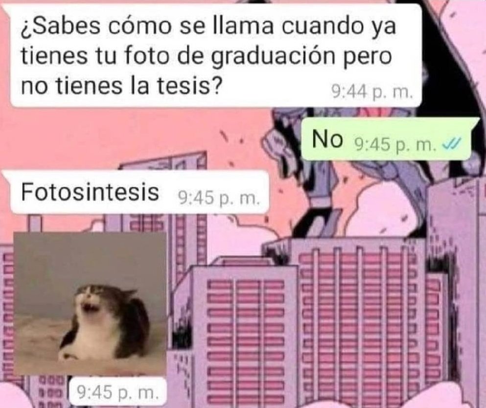 ymuchosmemes's tweet image. 