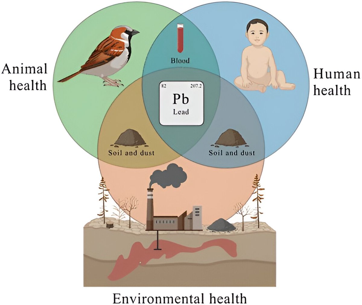 Animal Genetics tweet media