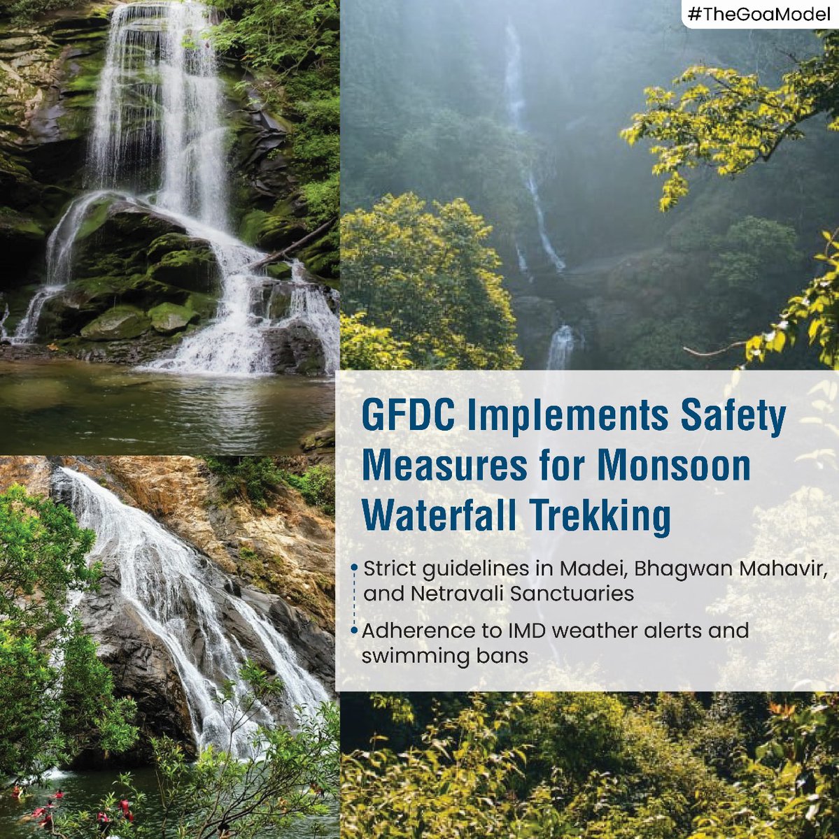 The_GoaModel's tweet photo. GFDC enforces safety measures for monsoon waterfall trekking in Madei, Bhagwan Mahavir, and Netravali Sanctuaries. Follow IMD alerts and swimming bans for a secure trekking experience.
#TheGoaModel #Goa #MonsoonTrekking #Waterfall #GFDC #MadeiSanctuary #BhagwanMahavirSanctuary https://t.co/qfkgcAeiQd