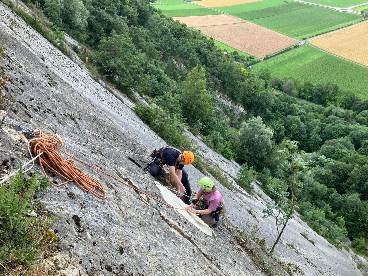 JURASSICAMuseum's tweet photo. Our hyperactive @LaraSciscio was dangling from a rope all week to document dinosaur tracks in Oberbuchsiten 🇨🇭(canton Solothurn). Tracks ID uncertain (sauropod? stegosaur?) because of weathering, but stunning view 😲
[photos by Karl Stransky https://t.co/UmgY8wmi3J]
#FossilFriday https://t.co/JZFbQN1vmd