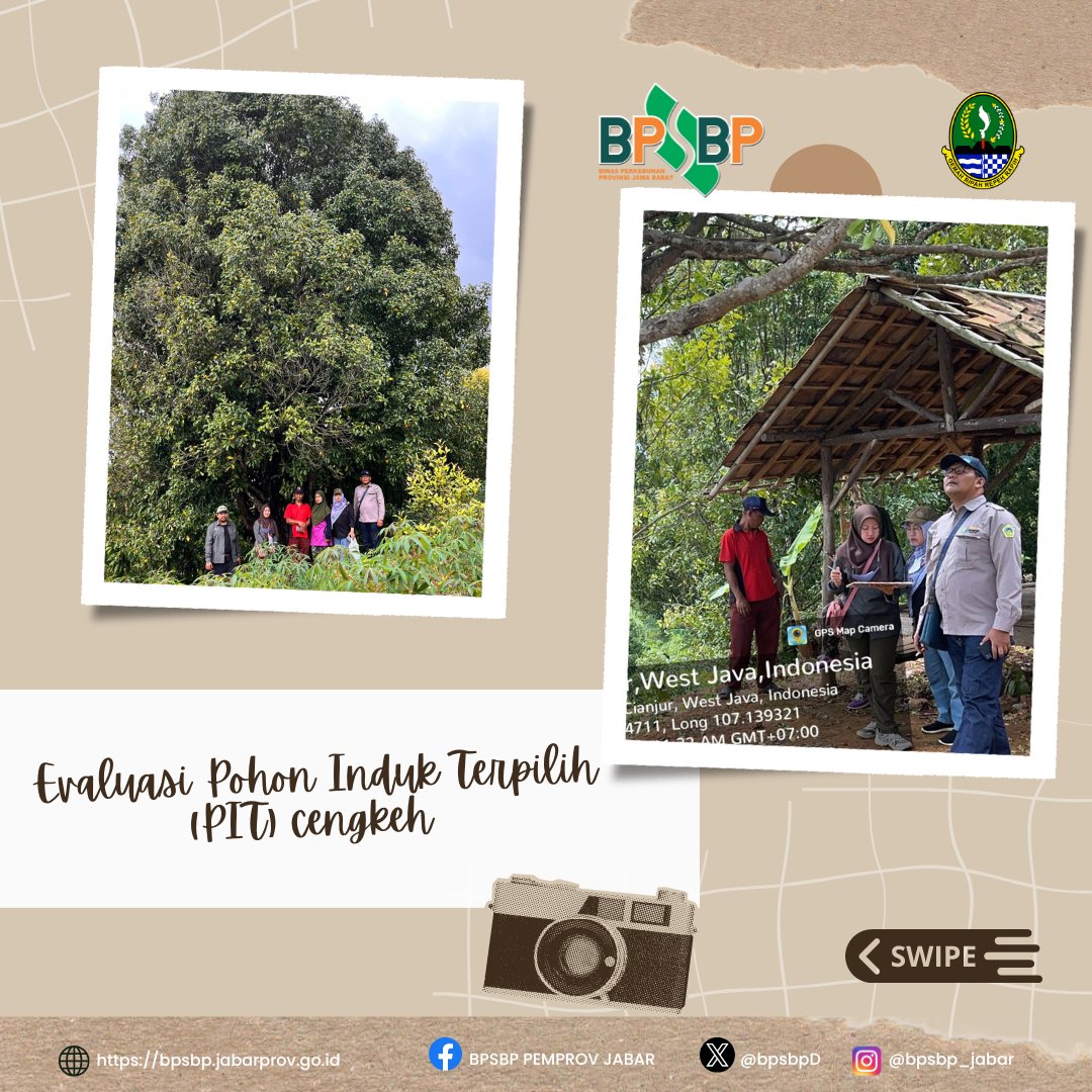 BpsbpD's tweet photo. Selamat Siang #wargibun
Tim PBT melakukan Evaluasi Pohon Induk Terpilih (PIT) cengkeh milik bu ai sri mulyati (alm. Pa turohman) yg berlokasi di Ds. Salagedang Kec. Cibeber Kab. Cianjur
@humas_jabar @bppdisbun @balaibenihbun1_jabar @disbunjabar
#bpsbp #bpsbpjabar #disbun https://t.co/QBaBZbbx8U
