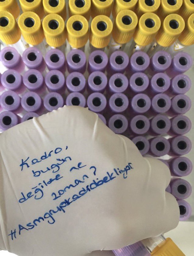 <a href="/asmgruplandirma/">Aile Sağlığı Merkezi Grup Elemanları Derneği</a> Asm grup elemanları sağlıkçı değilse pandemide en önde neden çalıştırıldık sağlıkçıysak neden kadroda kapsam dışı bırakıldık
#Asmgrup19yıldırkadrosuz