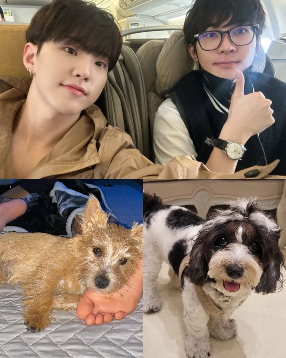 qjarhkwjs's tweet image. 너무 귀엽쟈나🥺🥺🥺