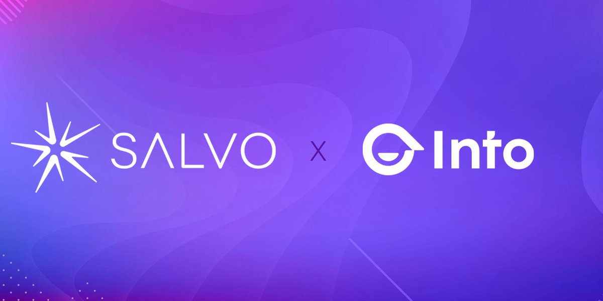 Salvo Games tweet media