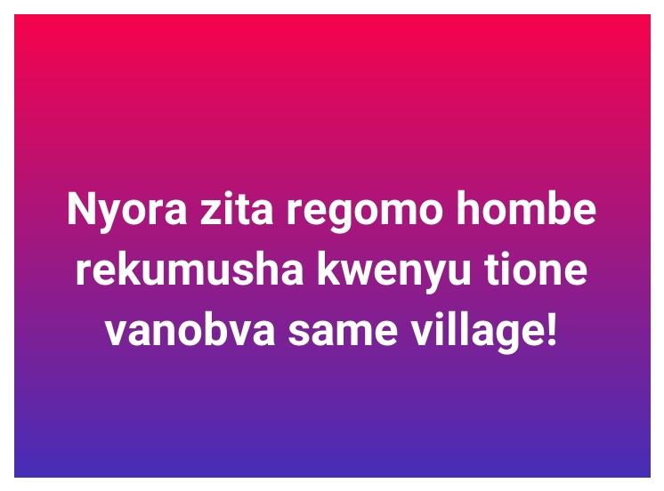 Dandaro Online tweet media