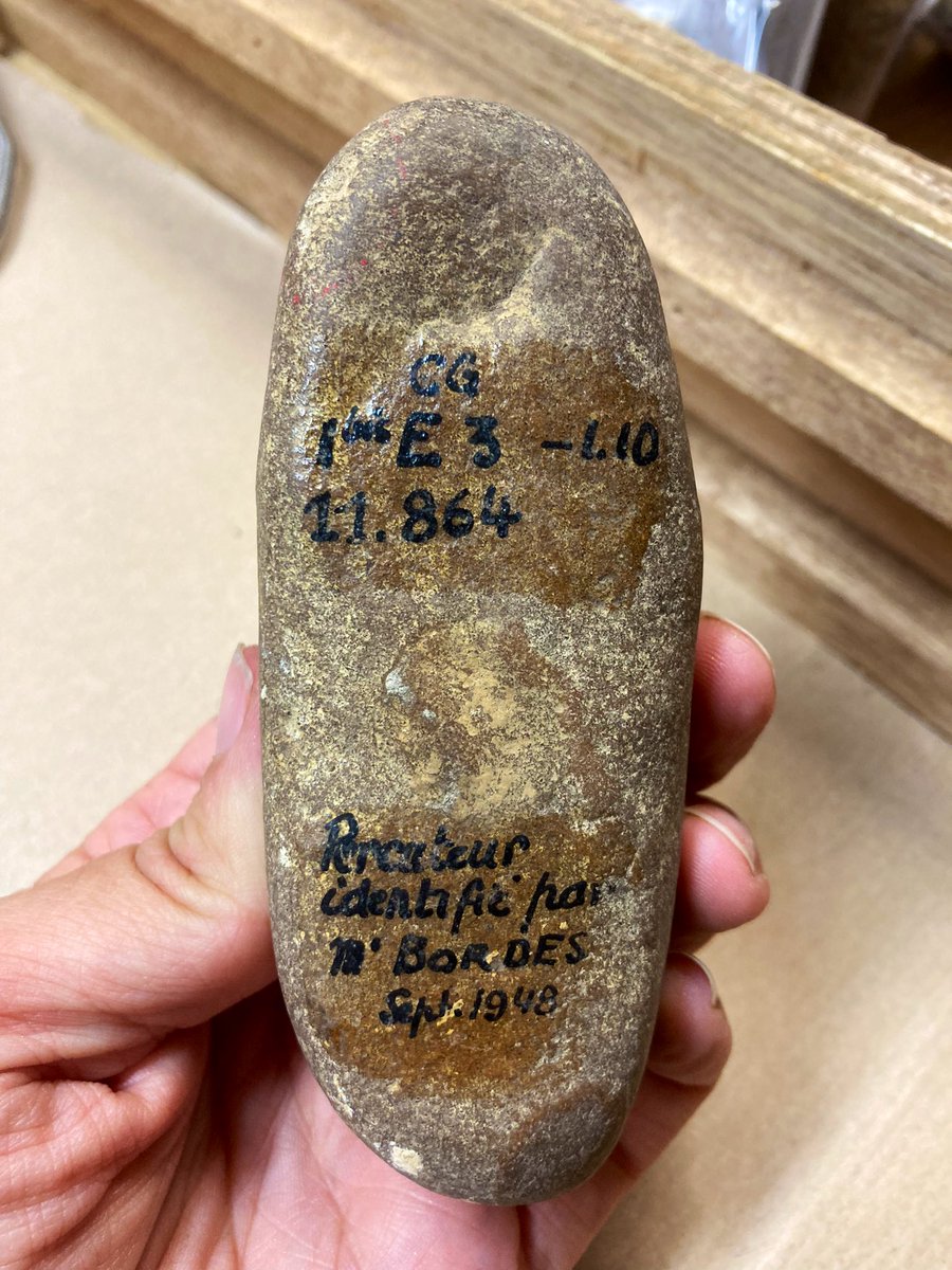 Vintage #flintfriday #quartzitefriday

« Percussor identified by François Bordes in 1948 »  🔍

from Coupe Gorge, Montmaurin (SW France).