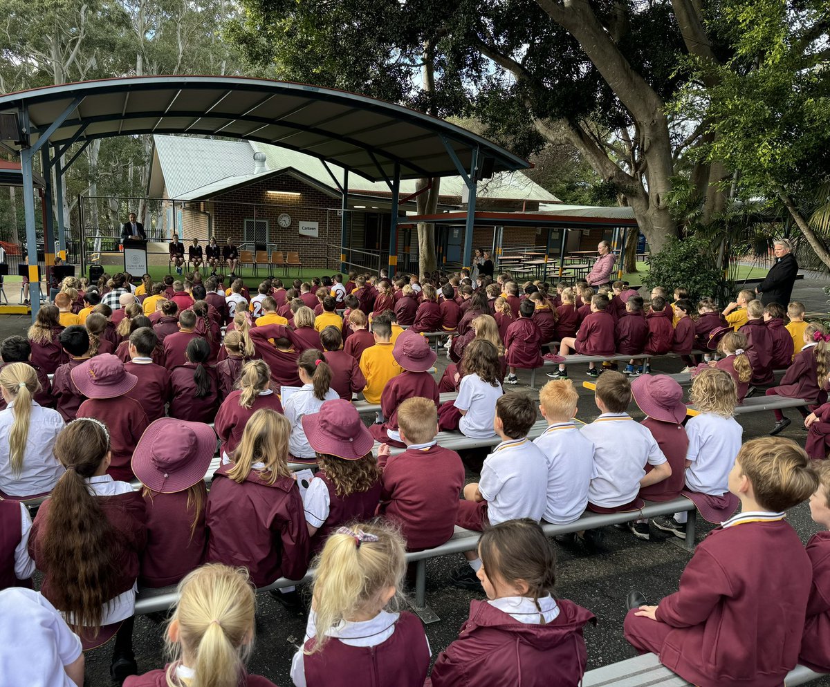 Murat Dizdar tweet media