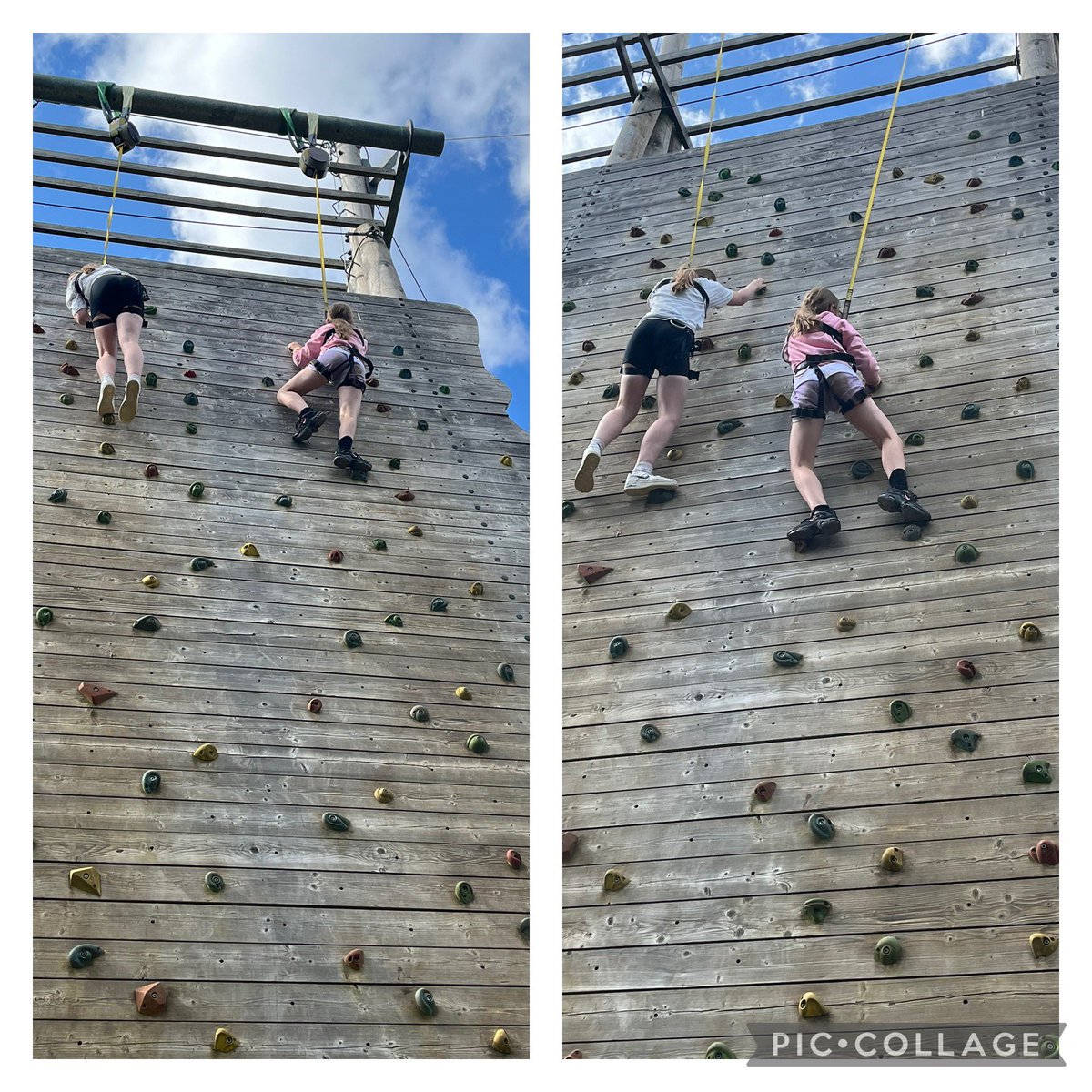 Ryedene Primary and Nursery School tweet media