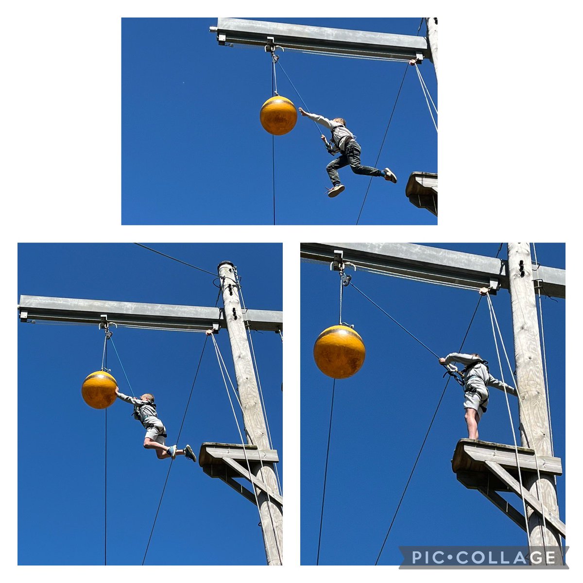 Ryedene Primary and Nursery School tweet media