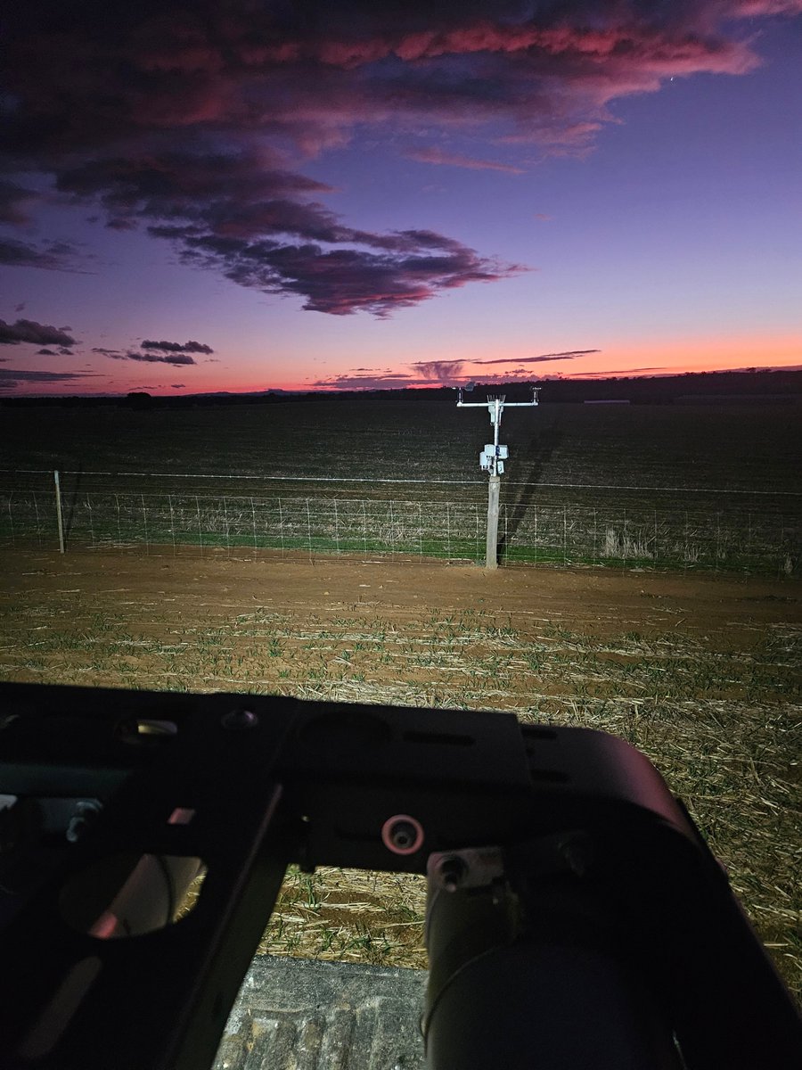 The screwdriver in the ground marks the spot of my 50th <a href="/EnviroProProbes/">EnviroPro SoilProbes</a> soil moisture probe install this week!

Am proficient at installing in crop without plants even knowing I was there.

Rear facing lights on my ute rack mean early morn starts. 

Bloody sore now, happy if I