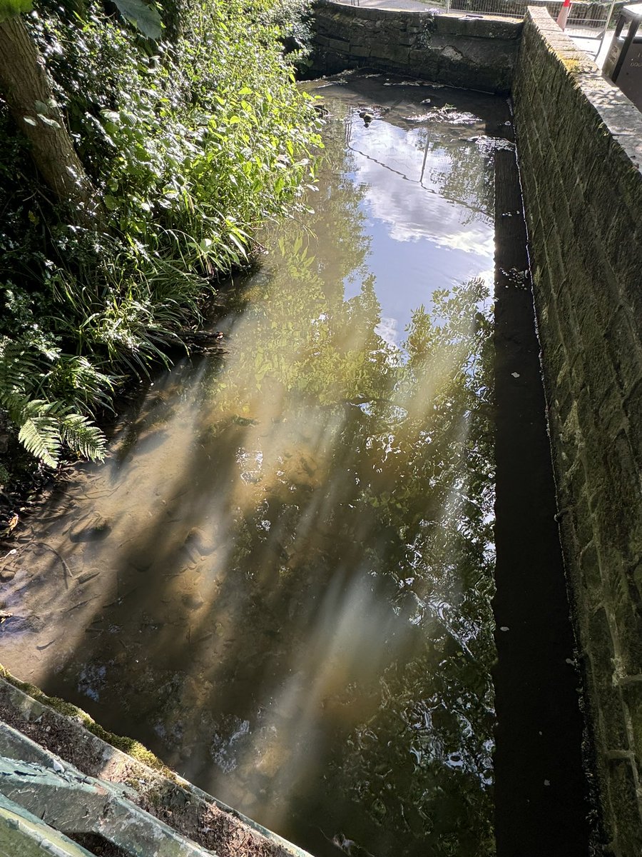 A break from politics to question (again !!) what has been discharged in to the Porter Brook - the water is grey and it stinks. <a href="/YorkshireWater/">Yorkshire Water 💧</a> <a href="/FoPVSheffield/">FoPV Sheffield</a> ???
